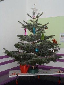 SAM_0587